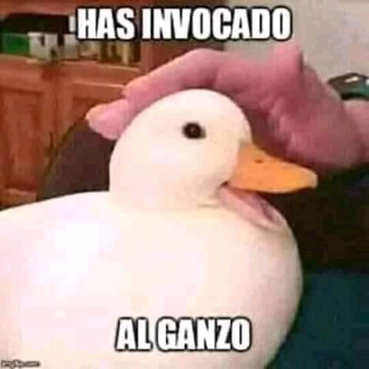 aaaa